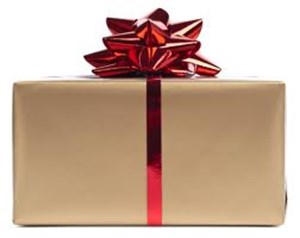 HOLIDAY PACKAGE HOLD PROGRAM